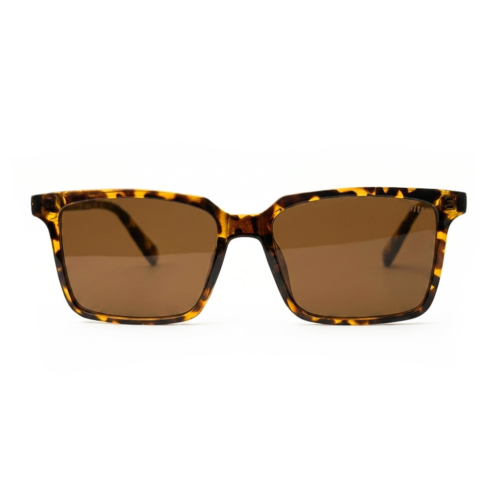 MiuMiu Brown Sunglasses