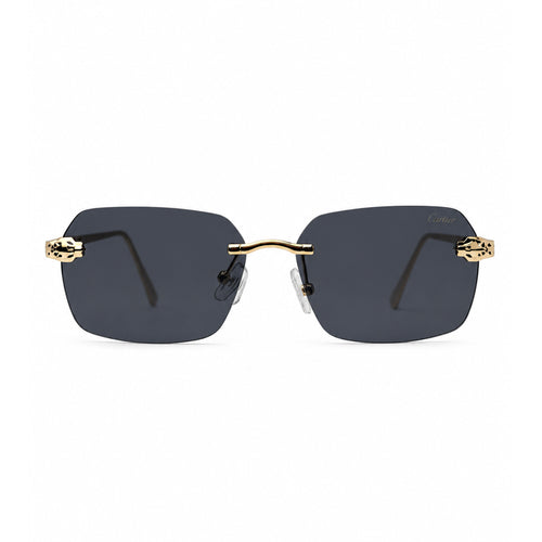 CARTIER - S01